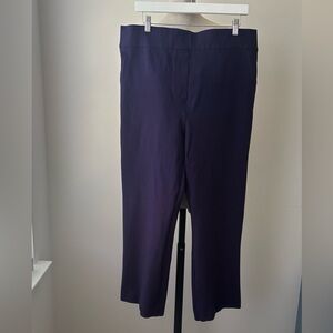 Spanx Pants Womens Size 2X Blue Violet Pull On Elastic Waist Straight Leg